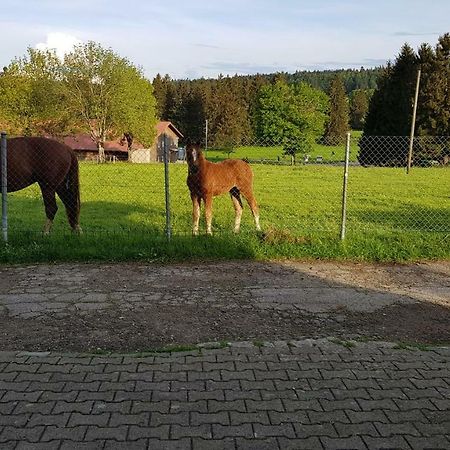 "Sous Les Barres" Appartement Montfaucon Buitenkant foto