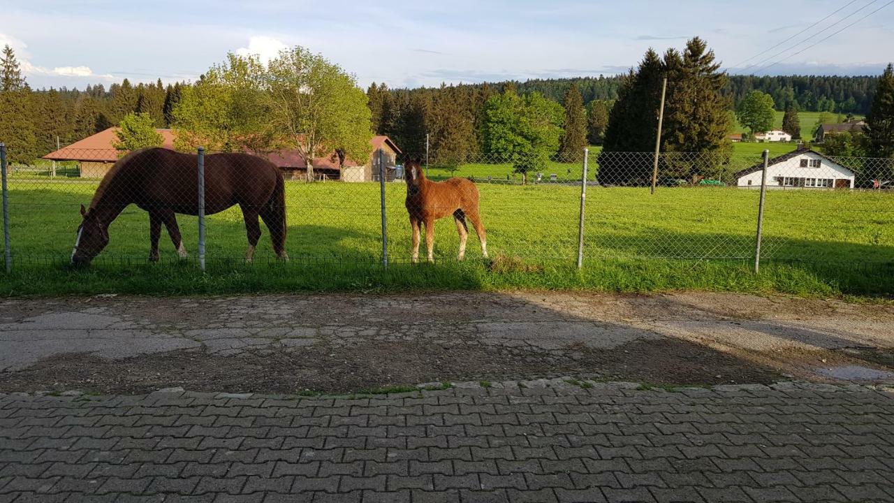 "Sous Les Barres" Appartement Montfaucon Buitenkant foto